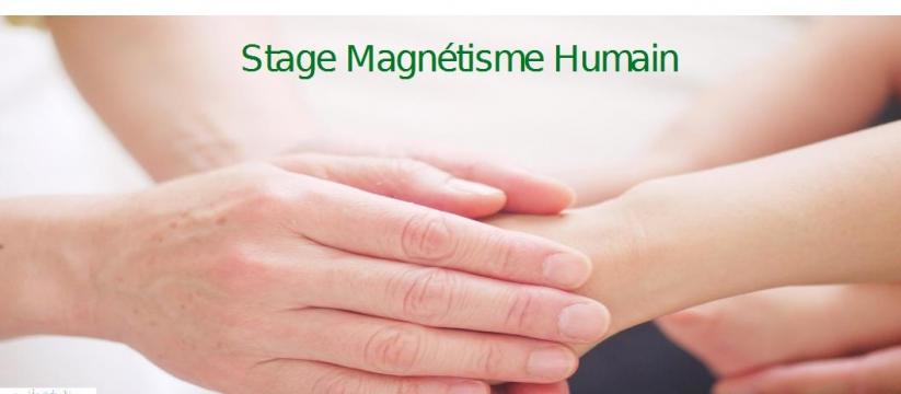 Stage magn&eacute;tisme 2 places limit&eacute;es
