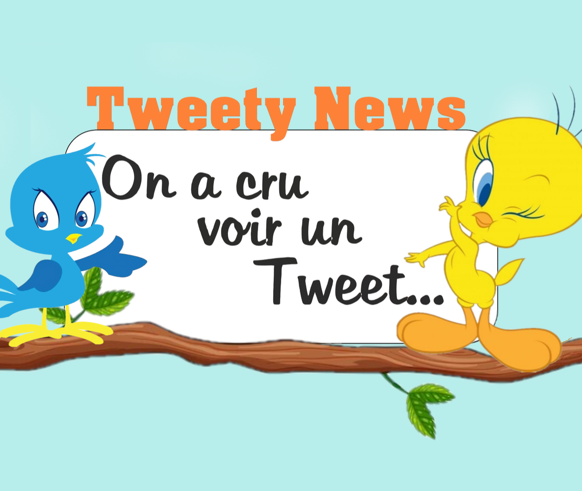 Tweety News